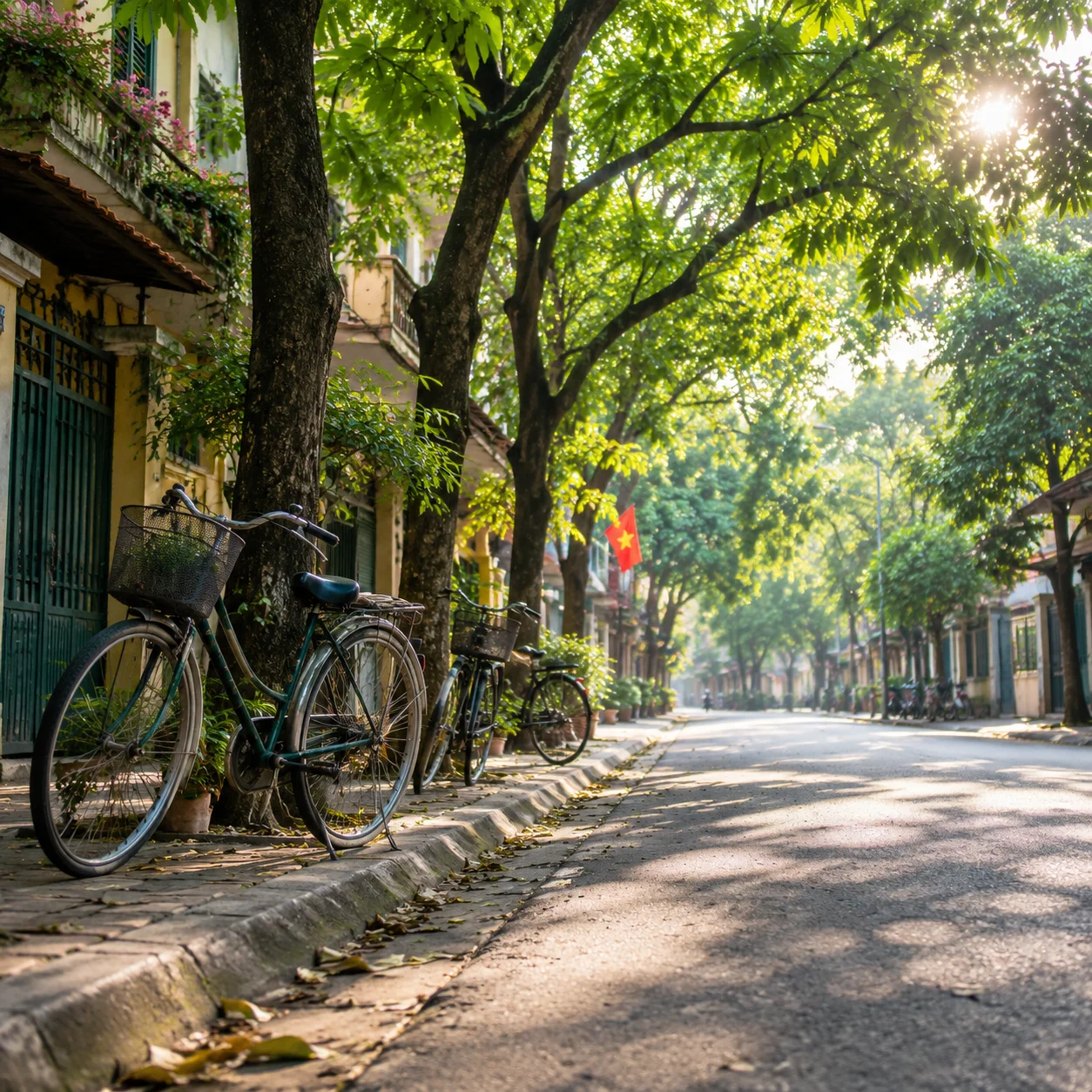 hình ảnh việt nam, mẫu 59
