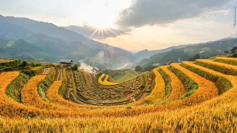 Hình ảnh Việt Nam với các ánh đồng lúa mênh mông - hình 5