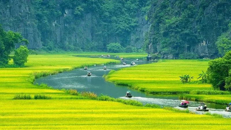 Hình ảnh Việt Nam với các ánh đồng lúa mênh mông - hình 1