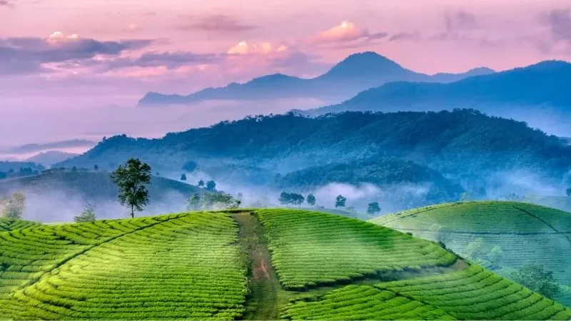 Hình ảnh Việt Nam núi non hùng vĩ - hình 3