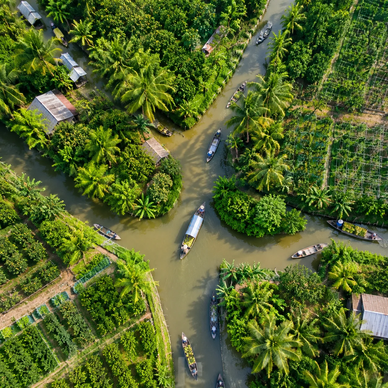 Mẫu hình ảnh việt nam thứ 47