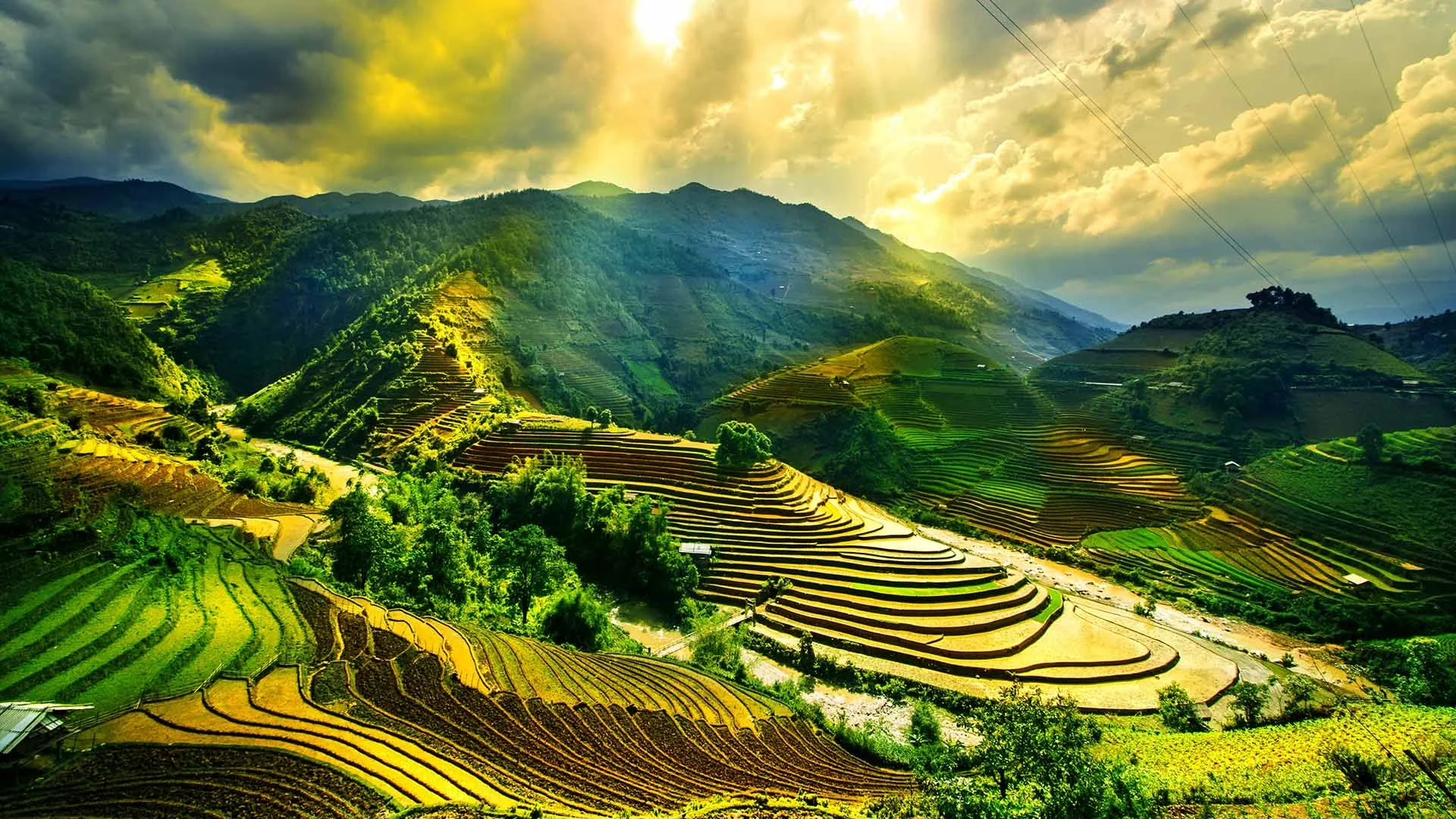 Quảng bá hình ảnh Việt Nam ra quốc tế: Xây dựng bộ nhận diện thương hiệu quốc gia