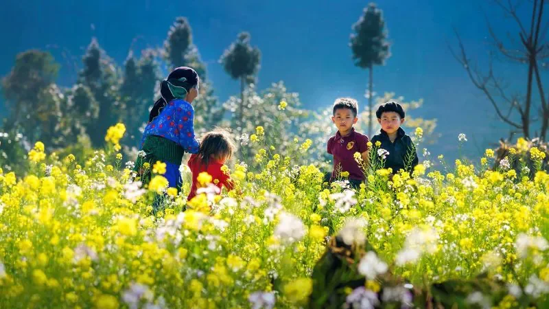 Hình ảnh Việt Nam về con người chân chất, hiền hòa - hình 2