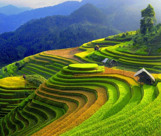 Hình ảnh Việt Nam với ruộng bậc thang xanh vàng tuyệt đẹp giữa núi rừng hùng vĩ vùng cao phía Bắc