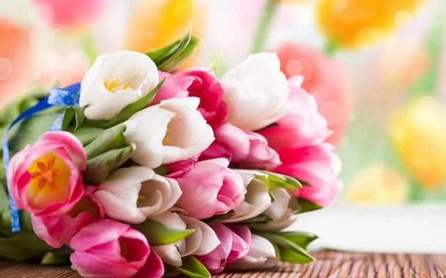 hình ảnh hoa đẹp nhất thế giới