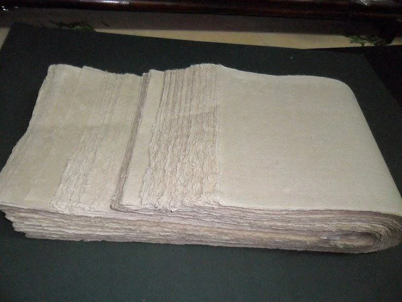 Giấy dó là linh hồn của tranh trúc chỉ