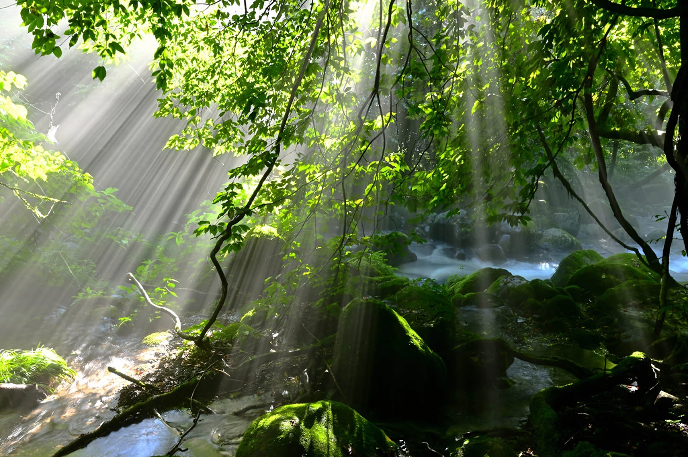 98+ Hình Nền Máy Tính 4K 1920x1080 Siêu Đẹp Chill Thiên Nhiên