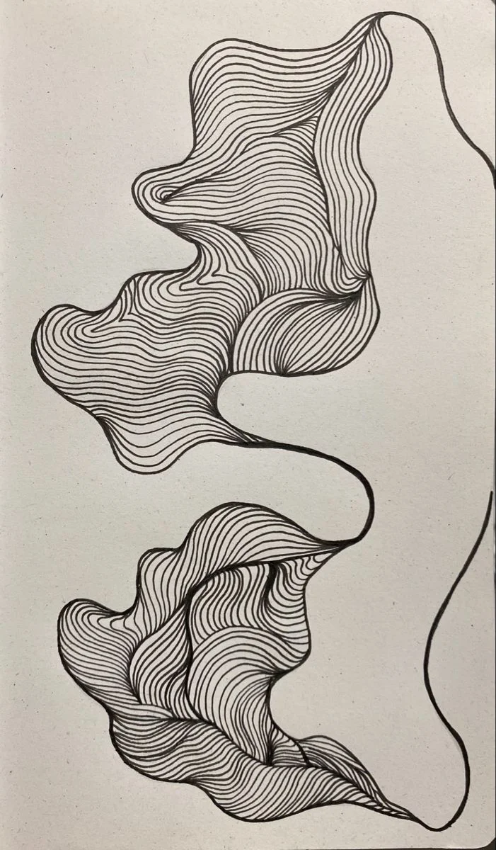 Tranh line art trừu tượng với các đường cong uốn lượn đen trắng