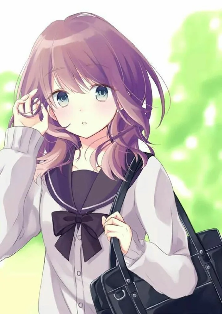 Ảnh học sinh nữ anime đang đi về sau giờ tan trường.
