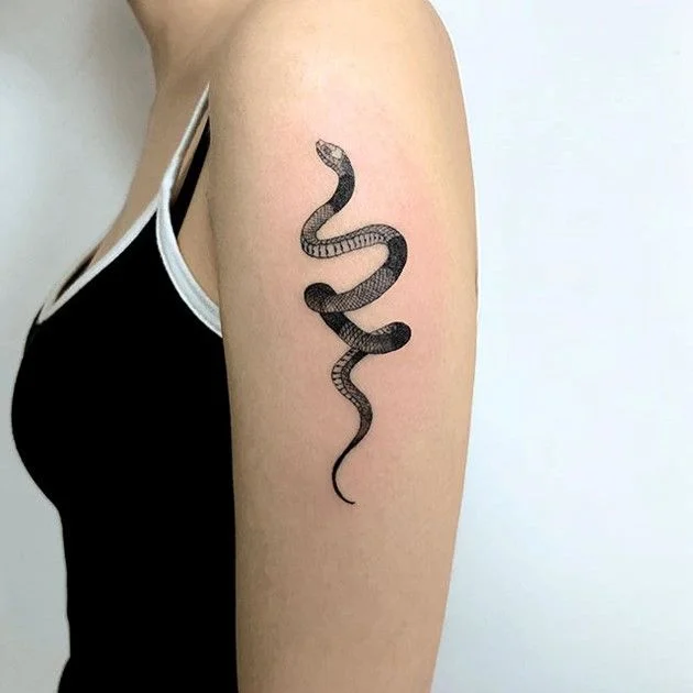 50+ Mẫu hình xăm Rắn ấn tượng và đẹp nhất