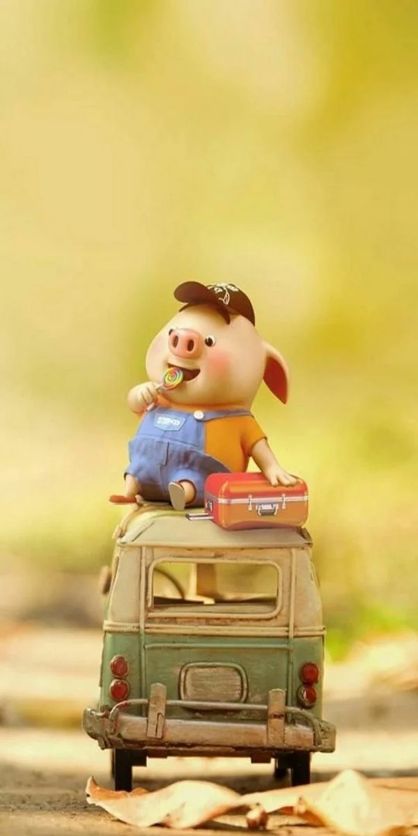 Hình nền heo cute cho điện thoại iPhone