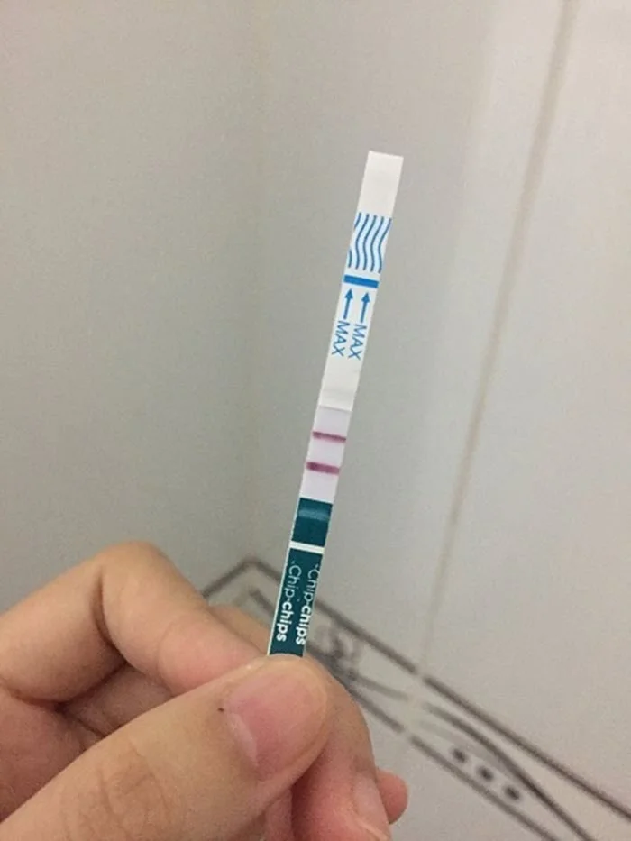 Que thử thai 2 vạch cầm dọc